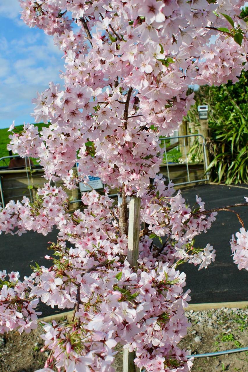 Arohanui Rural Retreat B&B Tauranga Luaran gambar